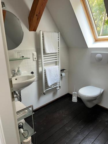 a bathroom with a sink and a toilet and a window at Park Residence Bei Wu in Wesenberg