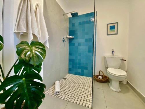 赫曼努斯Hermanus Self-Catering的浴室设有卫生间和蓝色瓷砖淋浴。