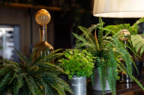 Una botella de vino junto a plantas en una mesa. en Home Hotel Tapto, en Estocolmo