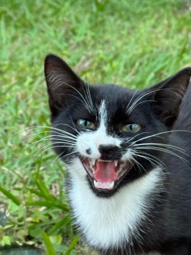 Fotografie z fotogalerie ubytování Ngaali Nest v destinaci Entebbe