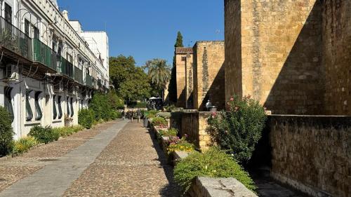 Apartamento Algafequi con terraza privada