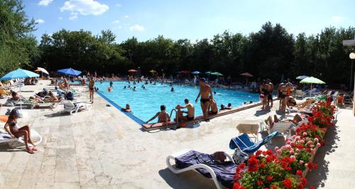 Civitella Del LagoCasa Vacanze Il Piatello Civitella del Lago的一群人坐在游泳池里