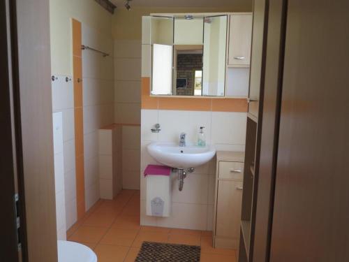 Un baño pequeño con lavabo y espejo. en Ferienhaus Retzow, en Rechlin