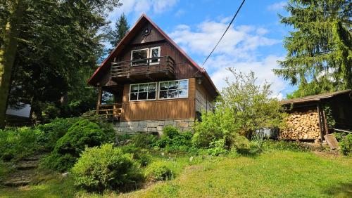 a wooden house on a hill in the woods at Chata Babča in Jetřichovice