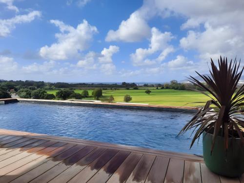 a swimming pool with a potted plant on a wooden deck at Stagnolo in Capo Toro