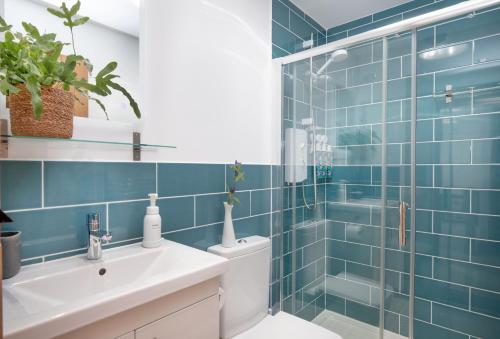 a bathroom with blue tiles and a toilet and a sink at Great Ash Barn in Copplestone