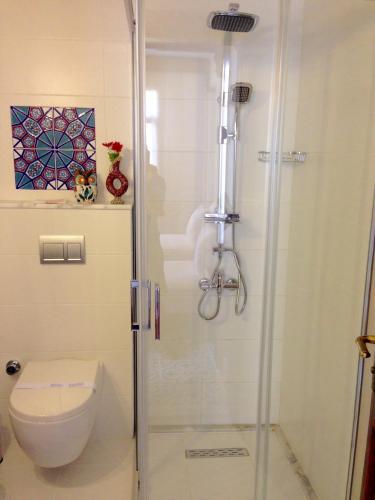 a bathroom with a shower and a toilet at Hotel Mary's House in Selcuk