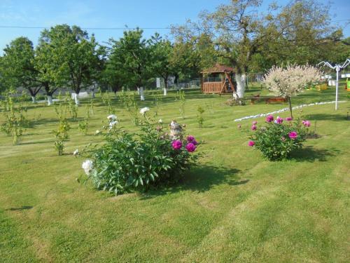 a group of flowers in a park with a gazebo at Agroturystyka Krysia Pilszcz in Pilszcz