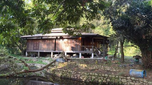 a small house in the middle of a forest at Rahsia Riverside Orchard at Janda Baik , Pahang in Bentong