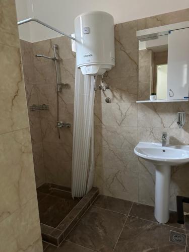 a bathroom with a shower and a sink at Apartman Milanović in Pribojska Banja