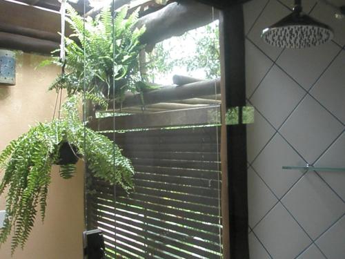 a bathroom with a window with blinds and a plant at Paraty Villa d`agua Temporada in Paraty