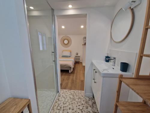 Koupelna v ubytování Casa Samana maison 4 chambres à Mont de Marsan