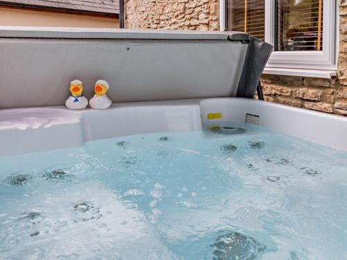 two rubber ducks sitting in a bath tub at 1 Bed in Ross-on-Wye 49910 in Walford