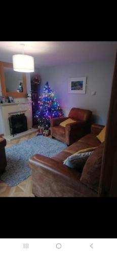 a living room with a christmas tree and a couch at Ferns Holiday let in Glenarm