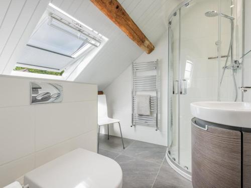 Haverthwaiteにある2 Bed in Haverthwaite SZ591の洗面台、シャワー、トイレ付きのバスルーム