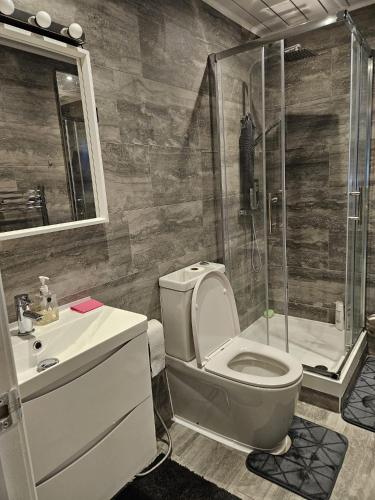 a bathroom with a shower and a toilet and a sink at Family Home 1 in Carshalton