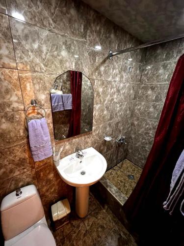 een badkamer met een wastafel, een toilet en een spiegel bij Tatev in Jerevan
