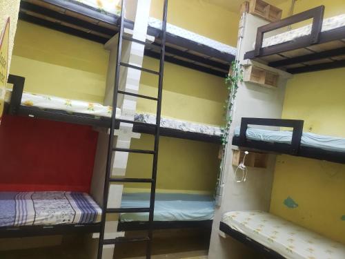 Zimmer mit 3 Etagenbetten und einer Leiter in der Unterkunft Republic Hostal in Azcorra