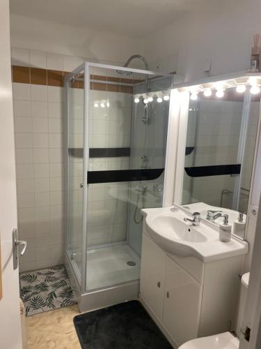 Koupelna v ubytování Studio T1 piscine chauffée parking gratuit les hauts dhonfleur