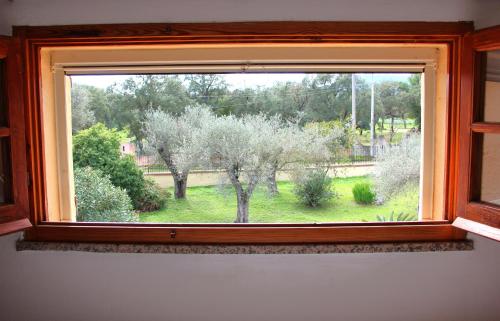 a window with a view of a garden with trees at Il Nido del Falco in Pula