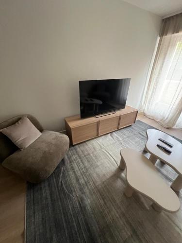 a living room with a chair and a tv at Charmant appartement aux portes de Strasbourg in Oberhausbergen