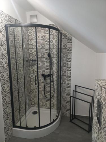 a shower stall in a bathroom with a wall at Apartament w Pieninach in Krościenko