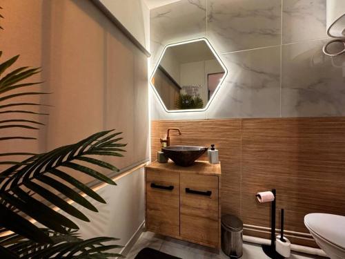 een badkamer met een wastafel en een spiegel bij Secret Room Elegance, mystère et intimité in Souppes-sur-Loing