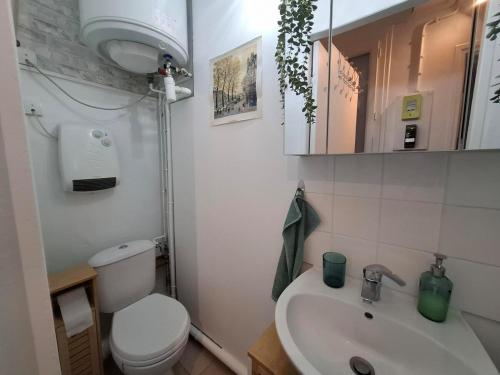 a bathroom with a white toilet and a sink at Saint-Mandé studio, proche metro Ligne 1 & Paris Centre, Wifi rapide, Ideal couple, télétravail in Saint-Mandé