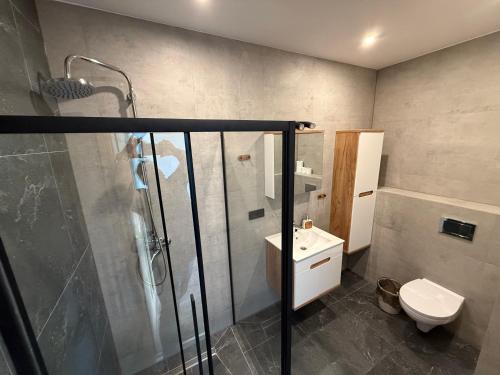 a bathroom with a shower and a toilet and a sink at Polonez Pieczyska in Koronowo