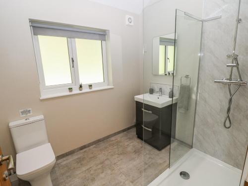 a bathroom with a toilet and a sink and a shower at Dwrgi in Llanybyther