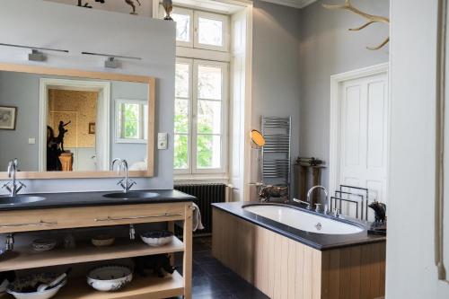 a bathroom with a large tub and a large mirror at Château des Faugs in Boffres