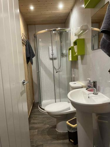 a bathroom with a shower and a toilet and a sink at Pine Marten Bar Glenmore Treehouse in Aviemore