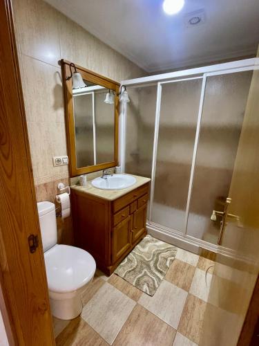 a bathroom with a toilet and a sink and a shower at Casa rural Herminia in Ourense