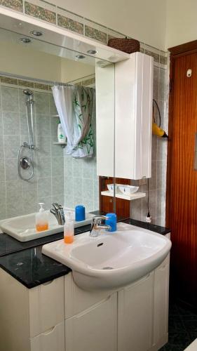 a bathroom with a white sink and a mirror at Casa Smeraldo in Ameglia