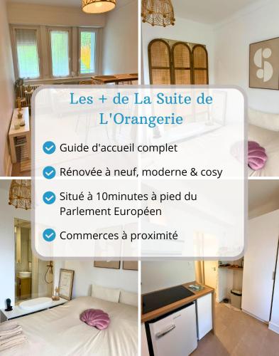La Suite de L'Orangerie - Cosy - Centre Ville - Commerces à Proximité