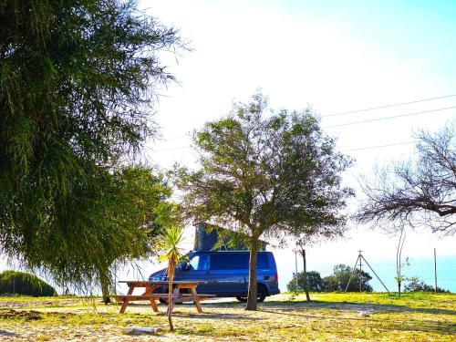 a blue van parked next to a picnic table and a tree at Camping Playa Mazagón in Mazagón