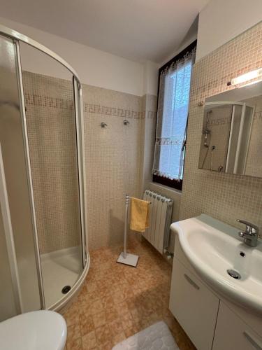a bathroom with a shower and a sink at Appartamento Bluebell in Santa Maria Maggiore