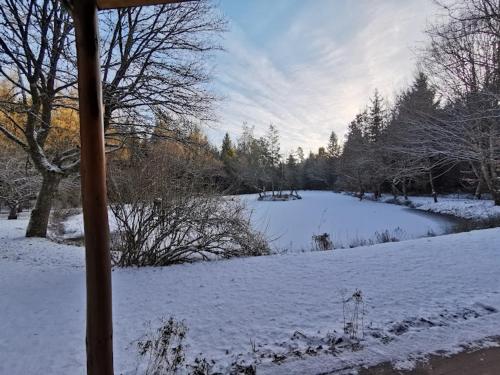 a snow covered field with a pond in the distance at Chalet - gîte avec étang in Deneuvre
