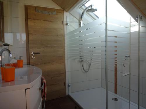 a bathroom with a shower and a sink at Haus Oettinger in Hayingen