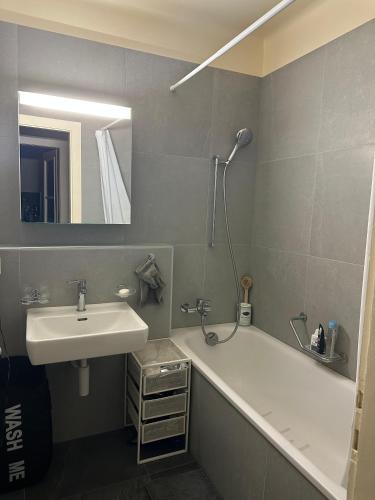 Renovated Apartment - Lausanne