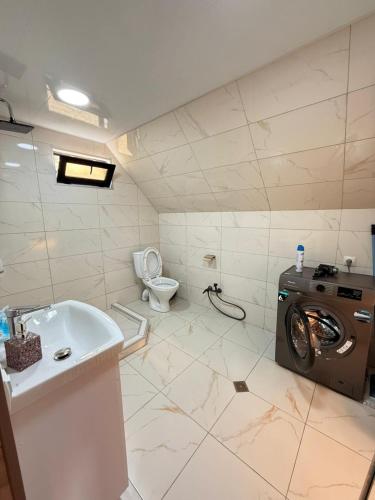 a bathroom with a washing machine and a toilet at Shelva Cottage kazbegi in P'khelshe