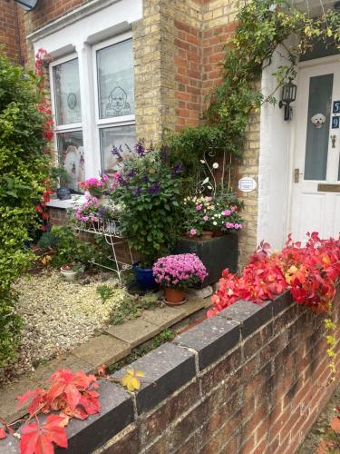 a bunch of flowers in front of a house at Arts&BichonsB&B in Oxford