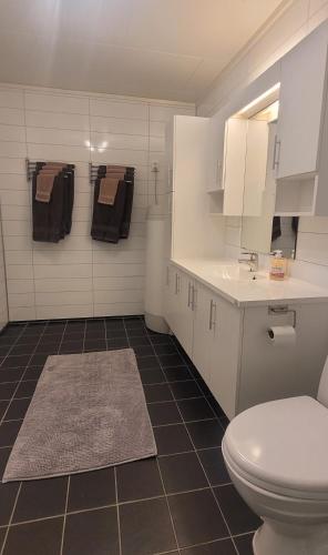 a bathroom with a toilet and a sink at Hansnes Havfiske in Hansnes