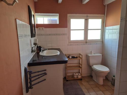 een badkamer met wastafel en toilet bij Gite Lou Bas in Albas