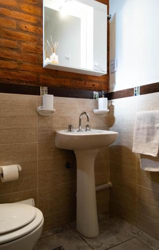 a bathroom with a sink and a toilet and a mirror at AMALIA departamentos in San Rafael