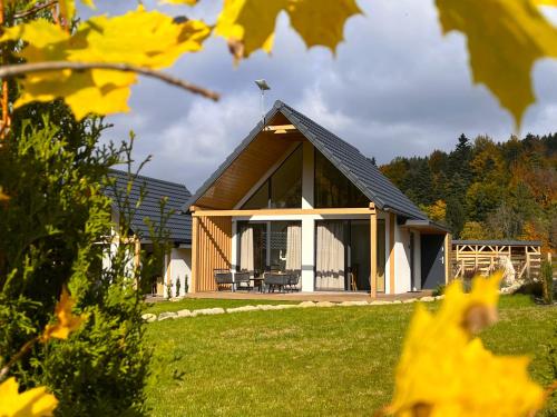 a house with a black roof on a green field at Galena i Gnejs in Stronie Śląskie