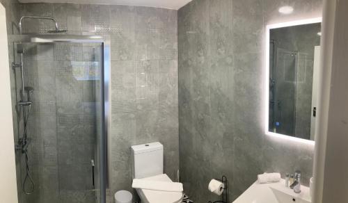 ein Badezimmer mit Toilette, Waschbecken und Dusche in der Unterkunft The Raven Pub with Rooms in Claines