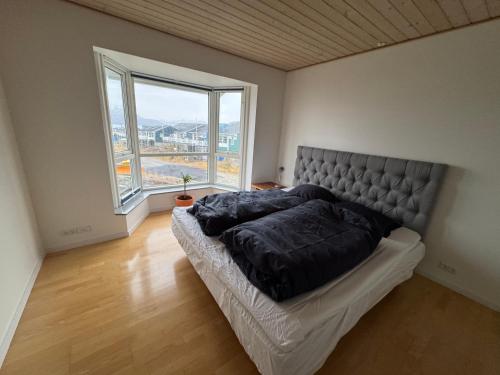 a bedroom with a large bed with a large window at Byens bedste udsigt in Nuuk