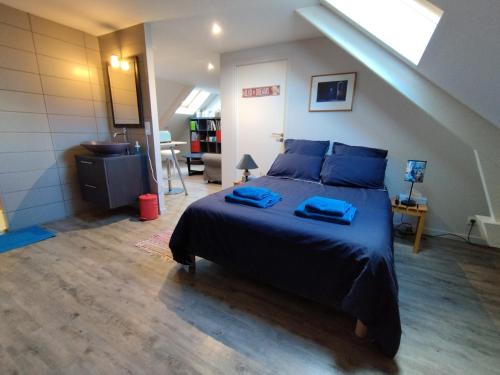 Vaste chambre à Vouvray
