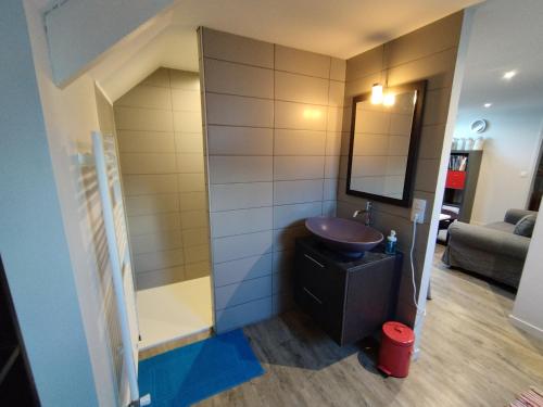 un baño con lavabo y espejo en Vaste chambre à Vouvray, en Vouvray